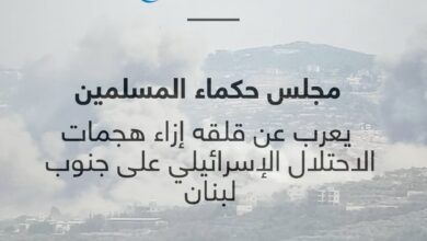 مجلس حكماء المسلمين يعرب عن قلقه إزاء هجمات الاحتلال الإسرائيلي على جنوب لبنان